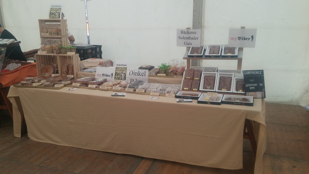 Biber unterwegs im 2016